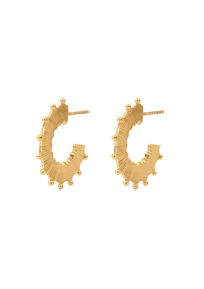 Circus Gilded Hoop Earrings - Gold