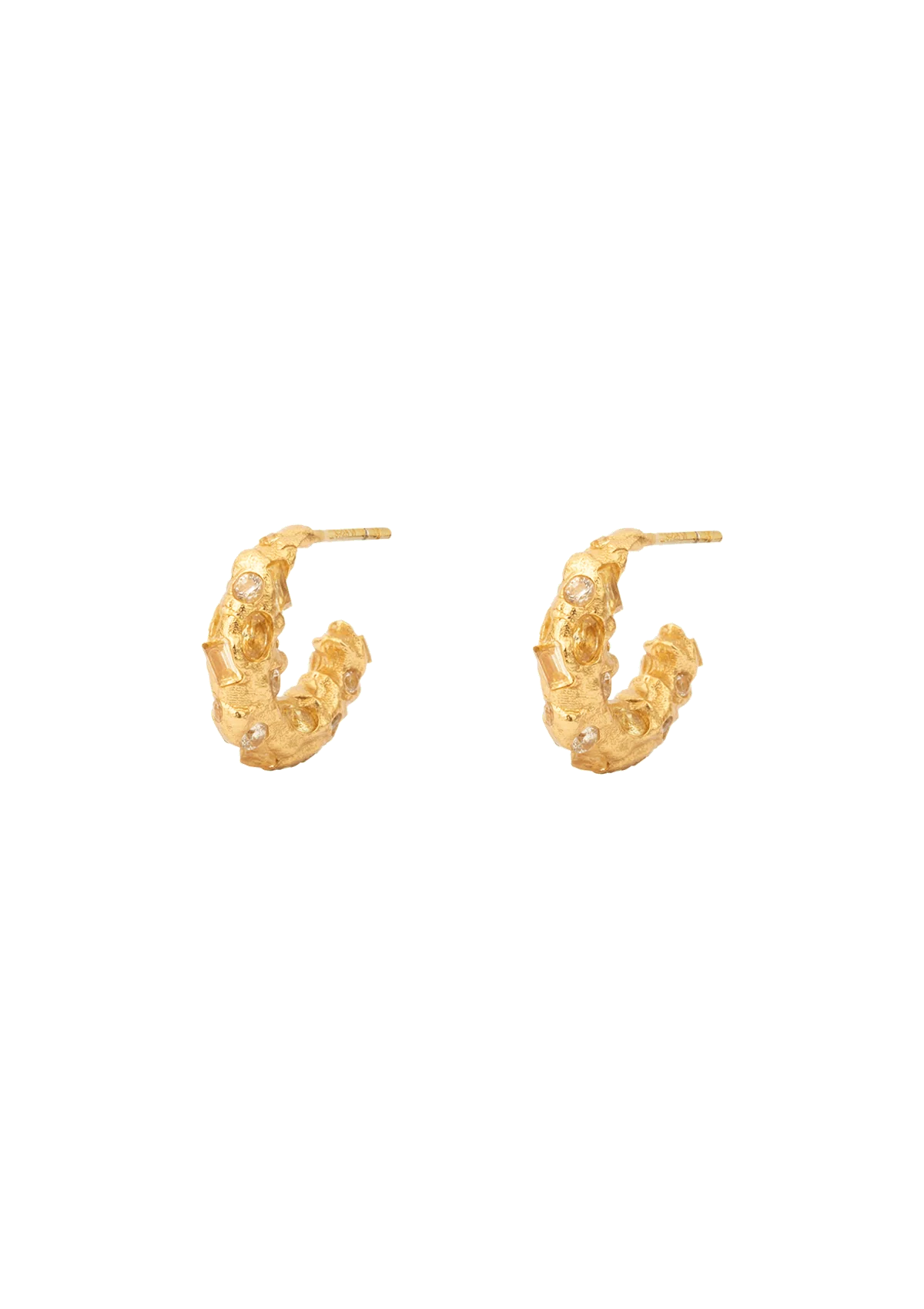 Trinket Gilded Hoop Earrings - Gold