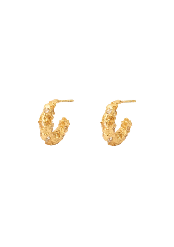 Trinket Gilded Hoop Earrings - Gold